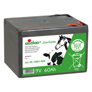 Batteriesparpack: 4x 9V-Zink-Kohle-Trockenbatterie 60 Ah