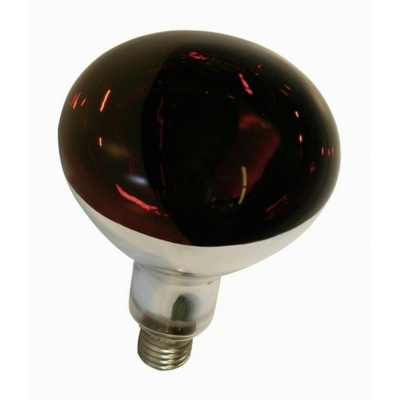 E27 Infrarotlampe 250W Hartglas rot Lampe Wärmelampe Aufzucht Tieraufzucht 
